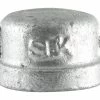 LDR Galvanized Cap 2" 311 CA-2 - Malleable Fittings